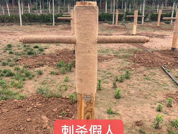 刺殺樁