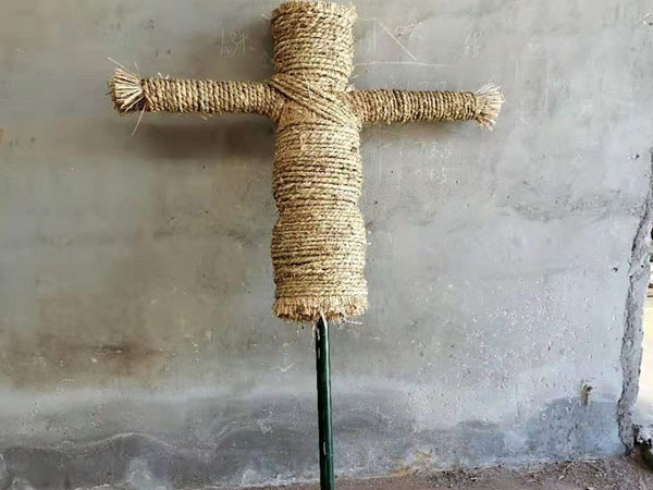 刺殺樁